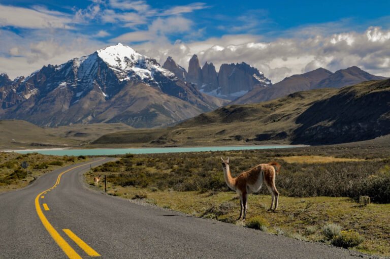gogo tour Destinations Chile