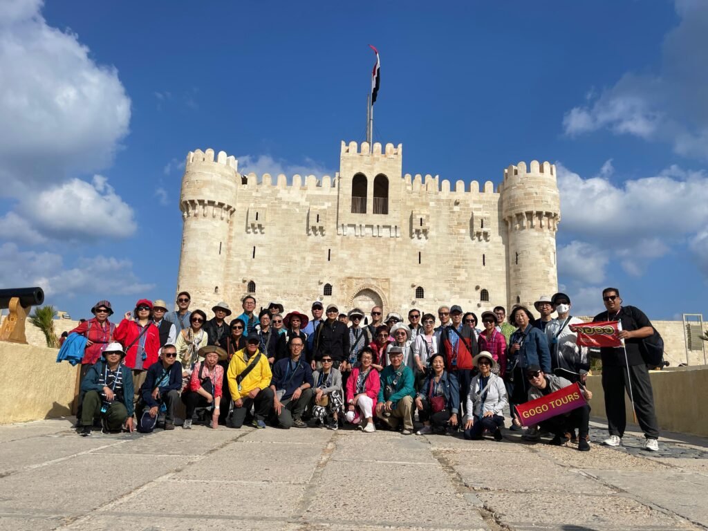 gogo tours IMG 20241104 WA0075 Reviews