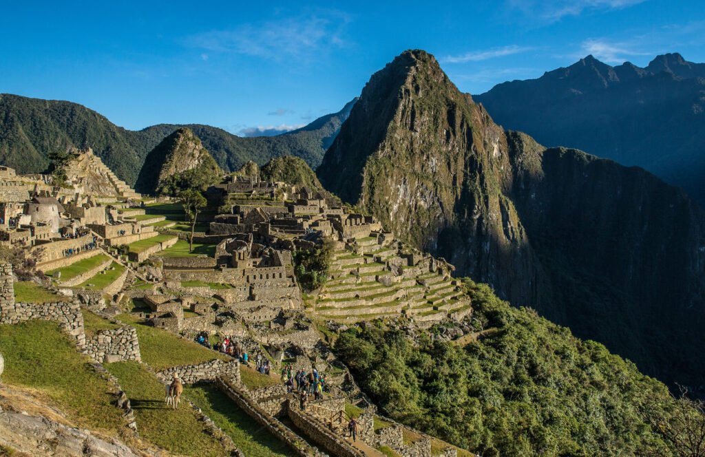 gogo tours Peru 1 About Us