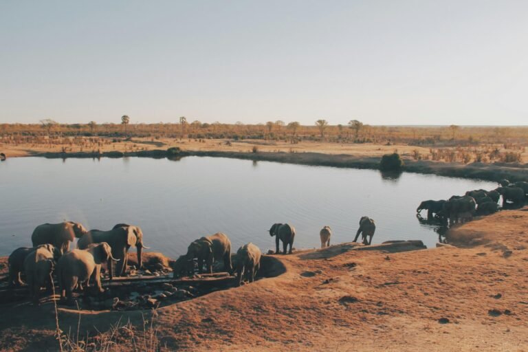 gogo tour Destinations Zimbabwe