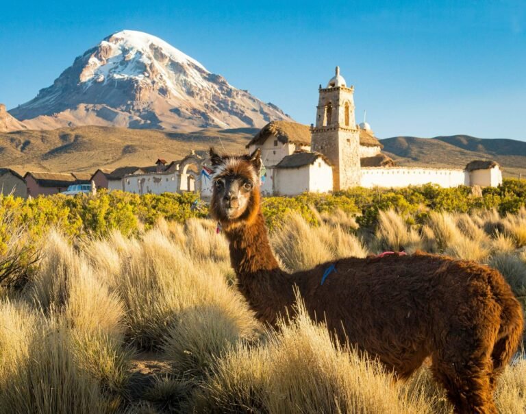 gogo tour Destinations bolivia bg