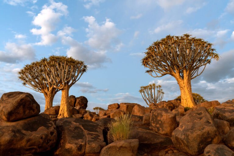gogo tour Destinations east africa