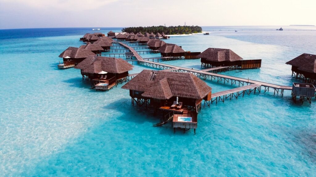 gogo tours maldives 1 Contact Us