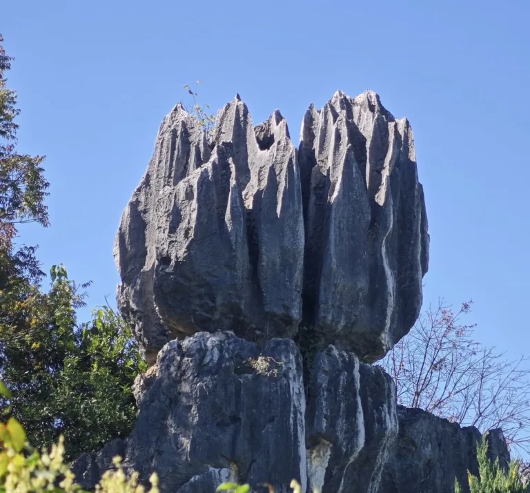 Limestone pillar in the Stone Forest, Yunnan