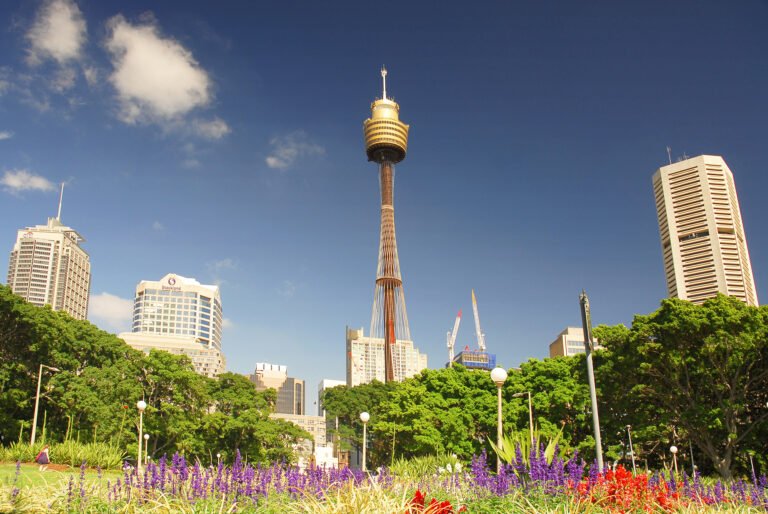 Sydney Tower Eye and skyscrapers viewed from Hyde Park