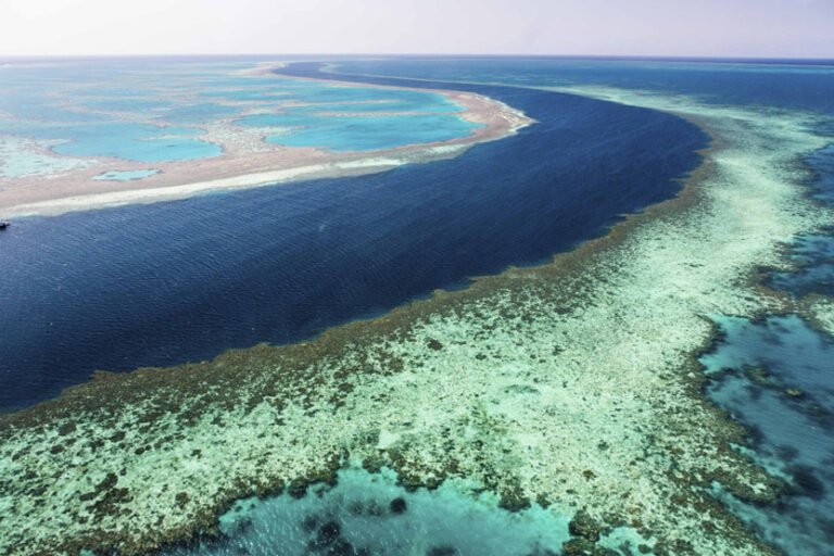 Aerial view of the Great Barrier Reef in Australia.