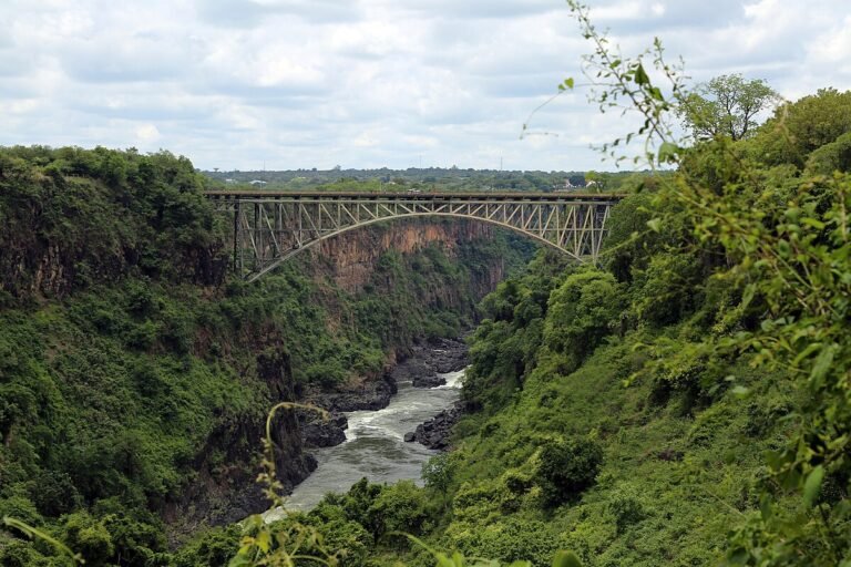 Victoria Falls Bridge spanning a lush green gorge.