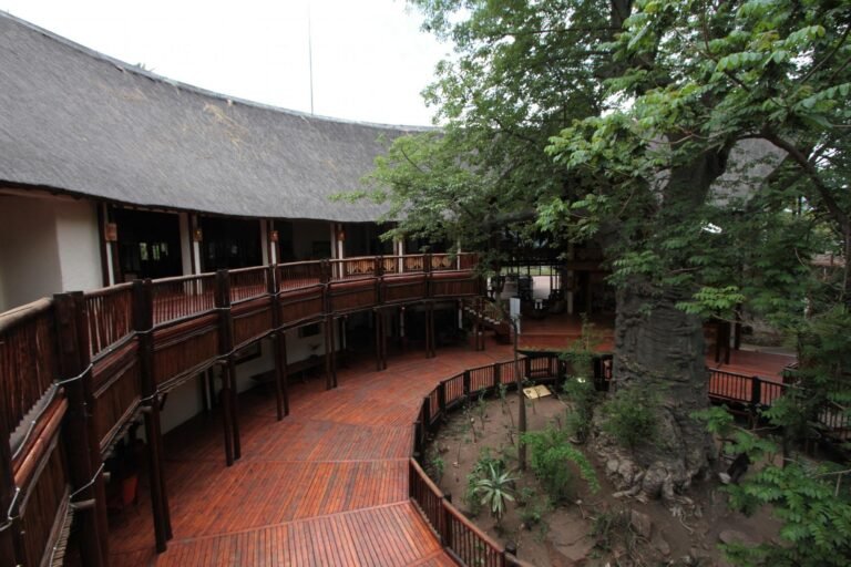Interior courtyard of Mowana Hotel with wooden architecture and lush greenery.