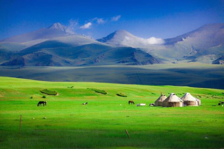 Scenic view of Ordos Grassland 鄂爾多斯草原 with green fields and distant hills