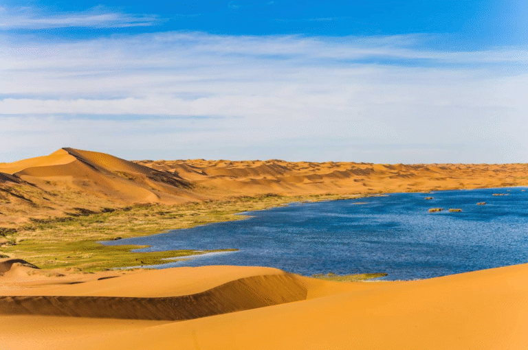 Lagoon surrounded by sand dunes in Tengger Desert 騰格裡沙漠