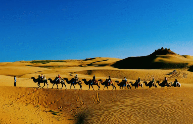 Camel ride in Xiangshawan Desert Inner Mongolia China