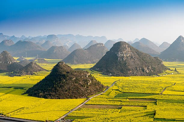 Scenic view of Luoping canola fields and karst hills in Yunnan.