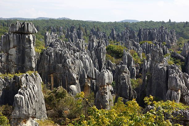 Stone Forest rock formations in Yunnan, China