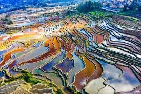 Colorful Yuanyang Rice Terraces in Yunnan, China