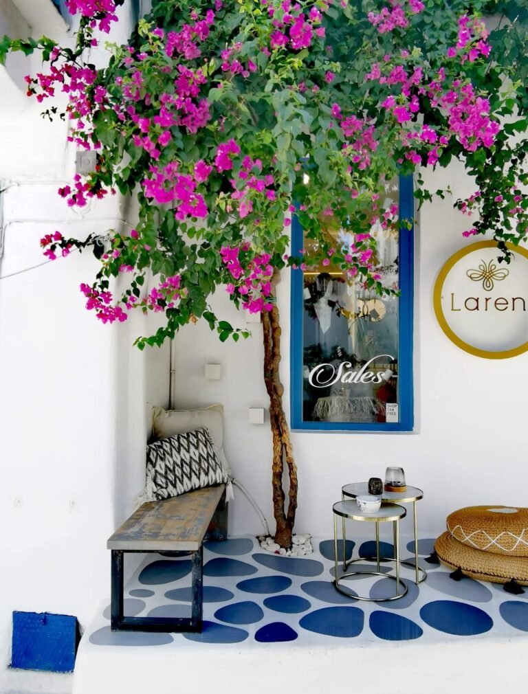 Boutique storefront Mykonos Greece GoGo Tours