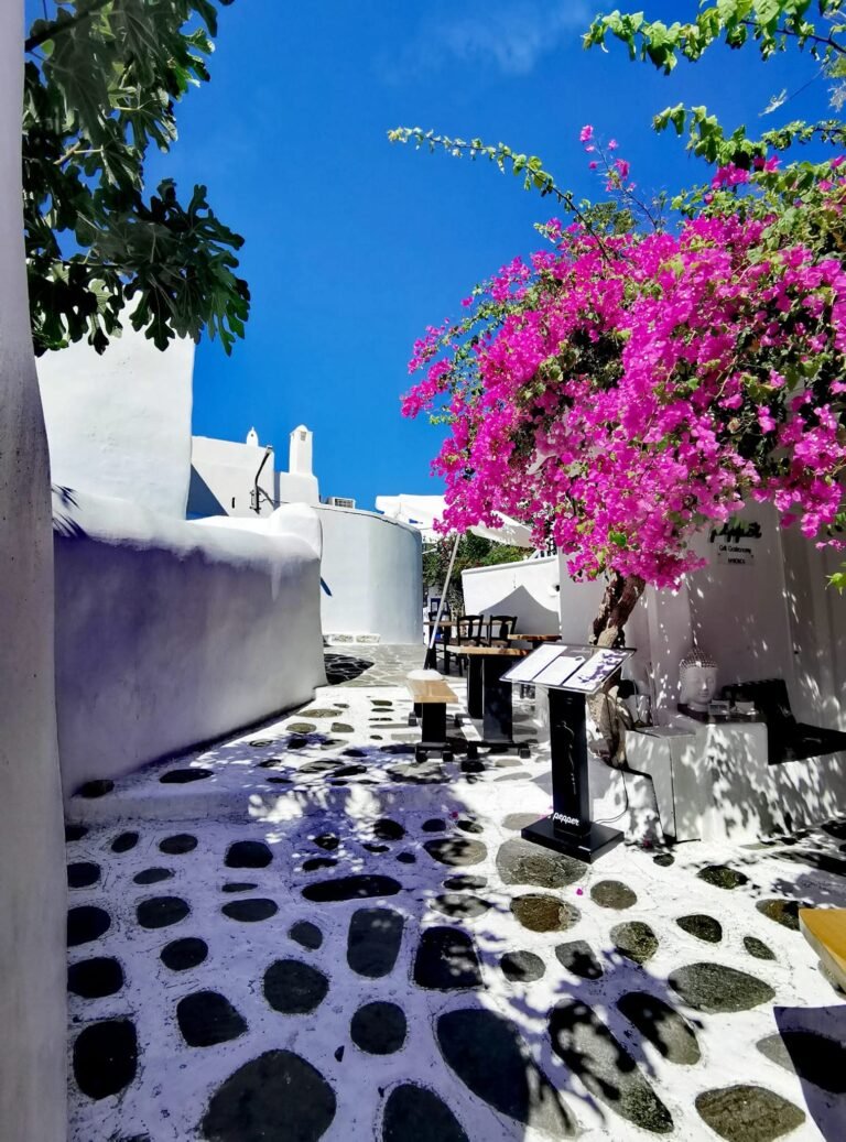 Mykonos street traditional Cycladic architecture Greece GoGo Tours