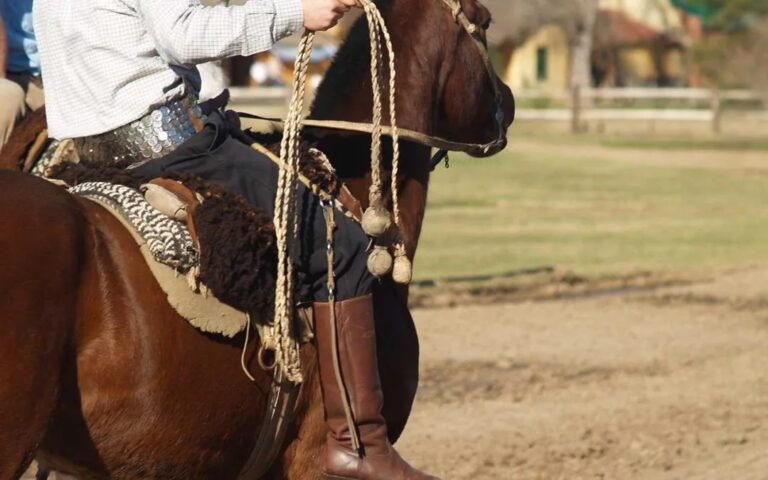 Gaucho horse riding in traditional attire.
